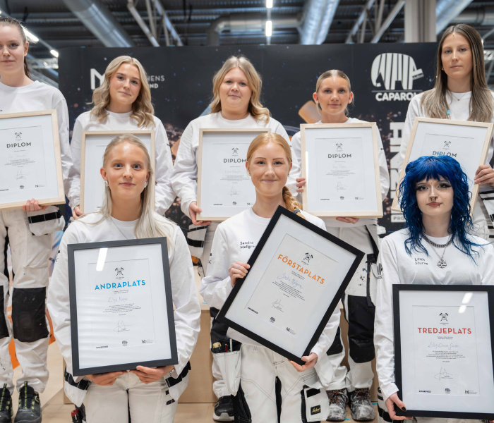 Vinnarna från Måleri-SM 2026