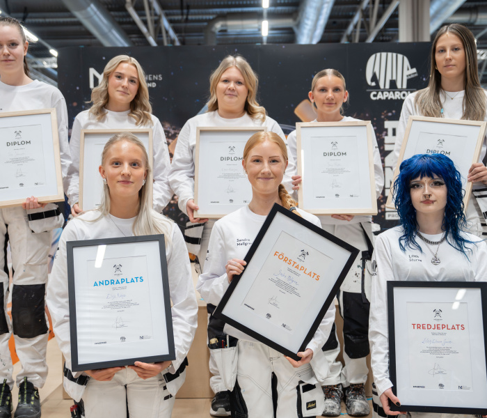 Finalisterna Måleri-SM 2026